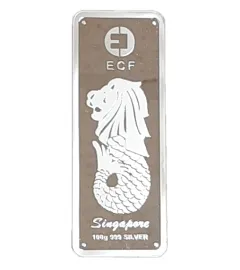 Silver Excelsior Capital Finance Bar - 100 g